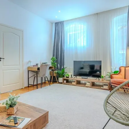 Nest Brasov-ground Floor Flat *