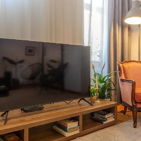 Lägenhet Nest Brasov-ground Floor Flat