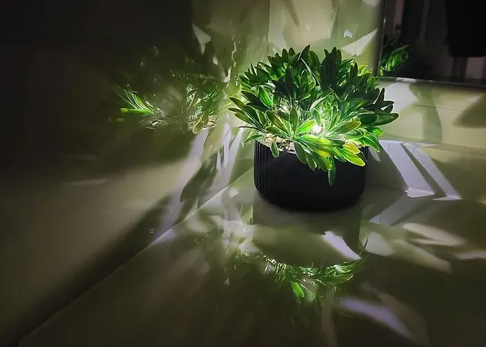 Apartment Nest Brasov-ground Floor Flat *