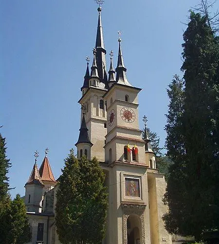 Nest Brasov-ground Floor Flat Apartment