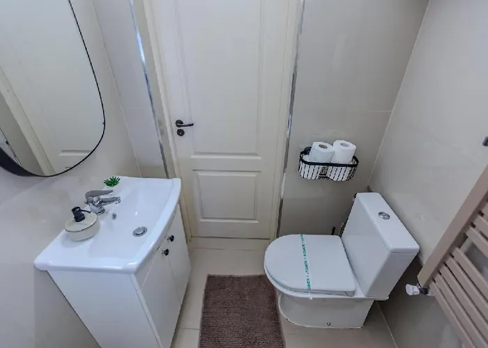 公寓 Nest Brasov-ground Floor Flat *