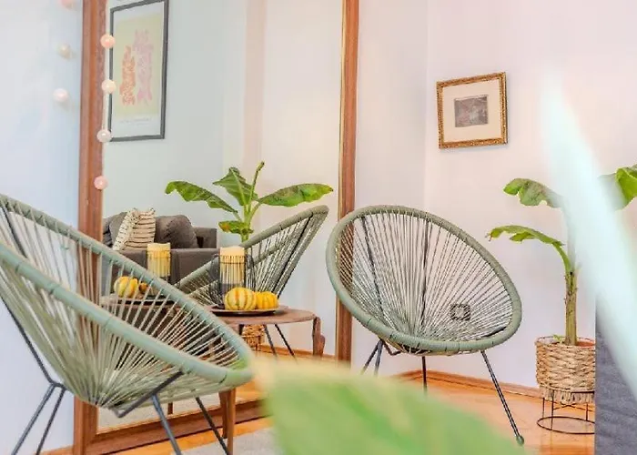 Nest Brasov-ground Floor Flat 布拉索夫