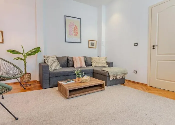 公寓 Nest Brasov-ground Floor Flat 布拉索夫