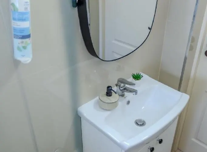 公寓 Nest Brasov-ground Floor Flat 布拉索夫