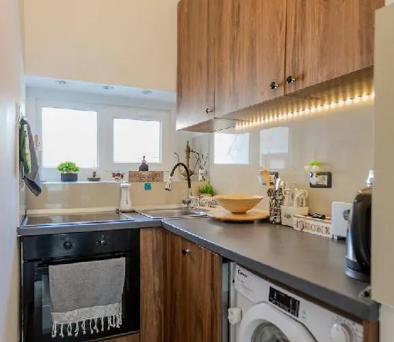 Nest Brasov-ground Floor Flat *