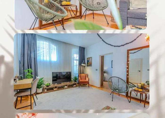 Nest Brasov-ground Floor Flat Apartment